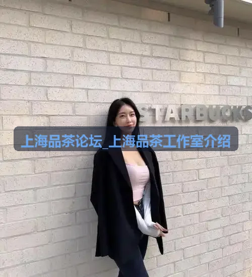静安区古树茶品鉴工作室环境实拍