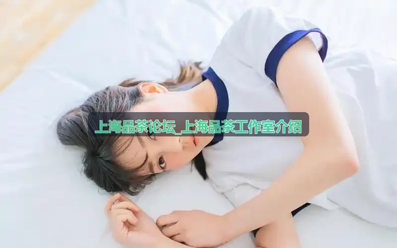 上海品茶论坛_上海品茶工作室介绍 - 浦东陆家嘴高空全景工作室老寿眉煮饮手记